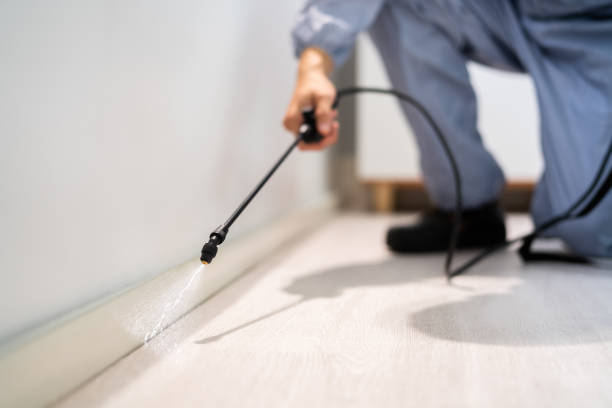 Licensed Pest Control service in Montecito, CA - Show Me Pest Control