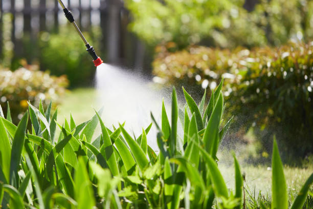24/7 Emergency Ant Control experts in Montecito, CA